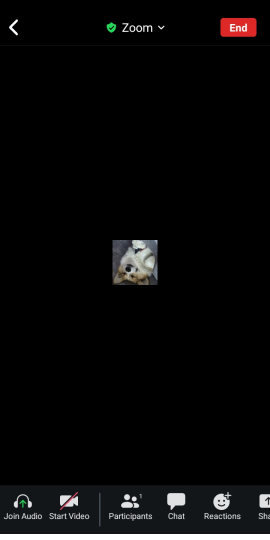 Zoom - One Platform to Connect