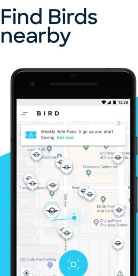 Bird — Ride Electric