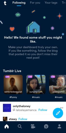 Tumblr—Fandom, Art, Chaos